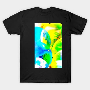 GF173 Art and Abstract T-Shirt